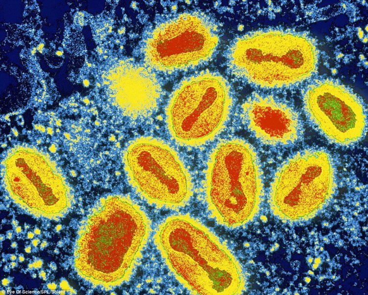 Coronavirus Disease: 269 νέα περιστατικά μόλυνσης –  73 νοσηλεύονται διασωληνωμένοι, 4 νέοι θάνατοι