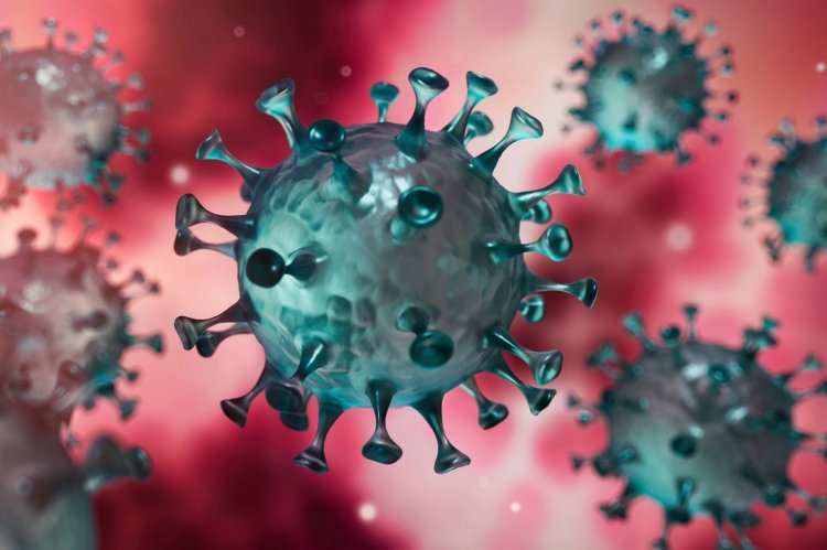 Coronavirus Pandemic-Lockdown: Επιστροφή του sms στο 13033 - Ποια τα απαραίτητα έγγραφα για τις μετακινήσεις [Έγγραφα]