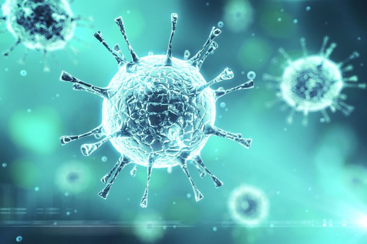 Coronavirus Disease: 1.498 νέα περιστατικά μόλυνσης –  540 νοσηλεύονται διασωληνωμένοι, 103 νέοι θάνατοι