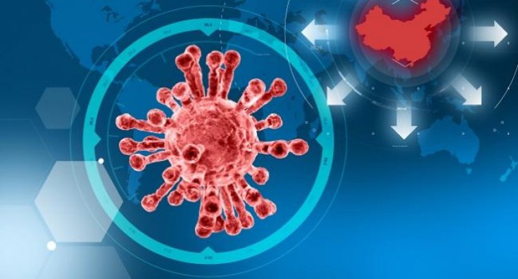 Coronavirus Disease: 1190 νέα περιστατικά μόλυνσης –  552 νοσηλεύονται διασωληνωμένοι, 85 νέοι θάνατοι
