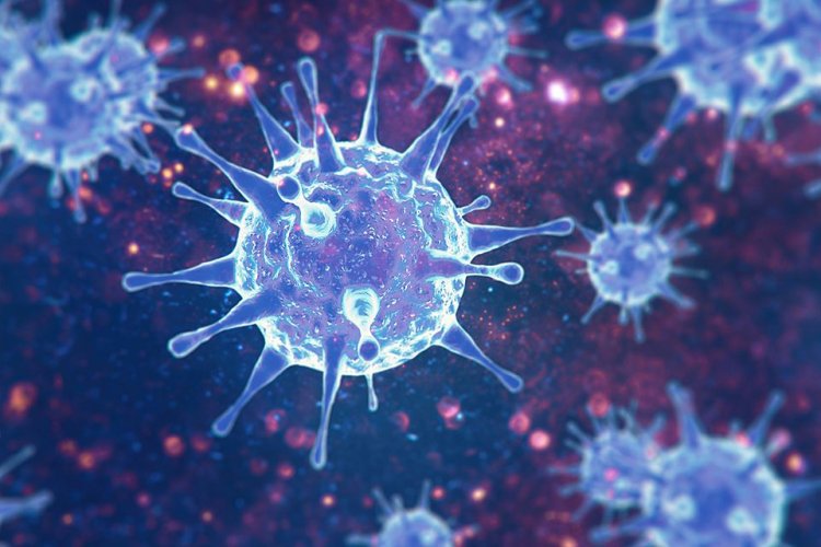 Coronavirus Disease: 901 νέα περιστατικά μόλυνσης –  534 νοσηλεύονται διασωληνωμένοι, 58 νέοι θάνατοι