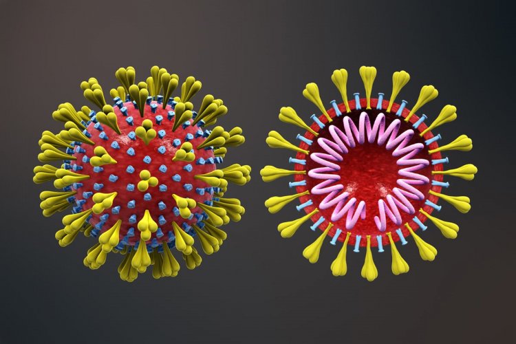New coronavirus strain: Στην Ιταλία εντοπίστηκε ασθενής προσβεβλημένος από το νέο στέλεχος του ιού