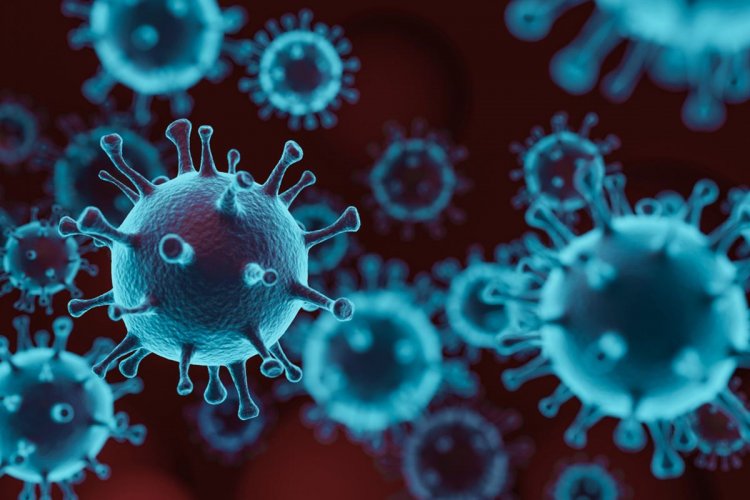 Coronavirus Disease: 816 νέα περιστατικά μόλυνσης –  399 νοσηλεύονται διασωληνωμένοι, 48 νέοι θάνατοι