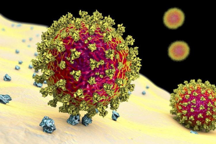 New coronavirus variants- Λαζανάς: Το επόμενο βήμα είναι νέοι περιορισμοί-Ενδεχομένως να εμφανιστούν πιο σοβαρές μεταλλάξεις