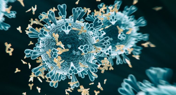 Antibodies Against COVID-19: Ποιες ηλικίες αναπτύσσουν περισσότερα αντισώματα μετά τον εμβολιασμό