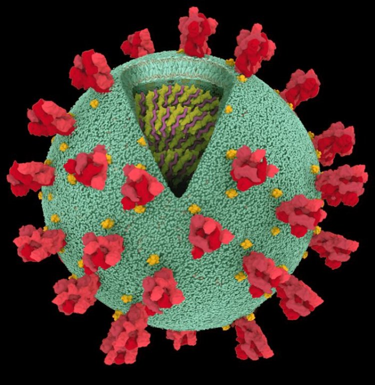 Coronavirus Disease: 1.387 νέα περιστατικά μόλυνσης, το 1 στην Μύκονο  –  783 νοσηλεύονται διασωληνωμένοι, 81 νέοι θάνατοι