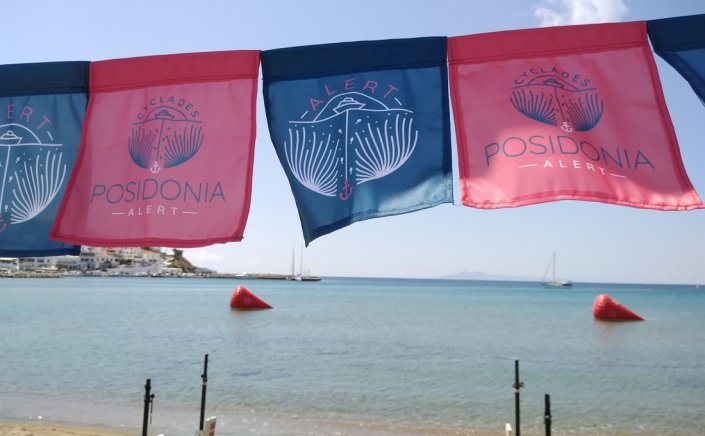 Cyclades Posidonia Alert: Λιβάδια Ποσειδωνίας στις Κυκλάδες: προσοχή στην αγκυροβολία