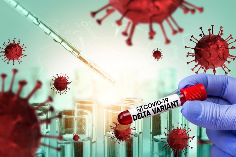 Delta variant - Τζανάκης: Η μετάλλαξη Δέλτα κυριαρχεί σε Νότιο Αιγαίο και Κρήτη  – Η μεγάλη διαφορά εμβολιασμένων και ανεμβολίαστων