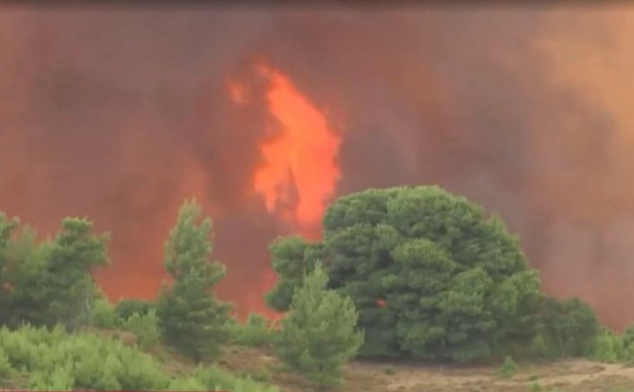 Fire in Athens: Εντολή εκκένωσης για Κρυονέρι, Αφίδνες και Κοκκινόβροχο- Μήνυμα από 112