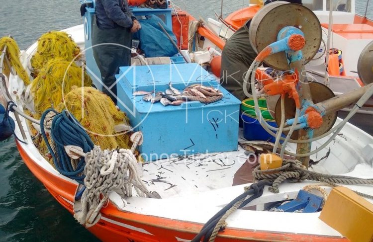 European Maritime, EMFAF 2021 - 2027: Πάνω από μισό δισ. ευρώ για την αλιεία και την υδατοκαλλιέργεια