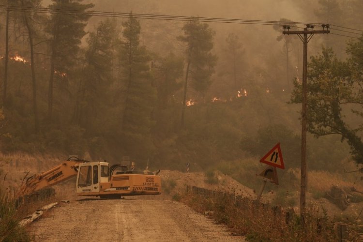 Fires in Evia: Μεγάλες αναζωπυρώσεις στην Εύβοια, σε Αβγαριά και Γαλατσώνα!! Συναγερμός στην Πυροσβεστική [Video]