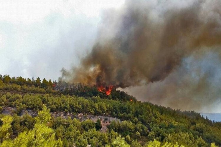Wildfires: Πολύ υψηλός κίνδυνος πυρκαγιάς για την Περιφέρεια Νοτίου Αιγαίου σήμερα Τετάρτη