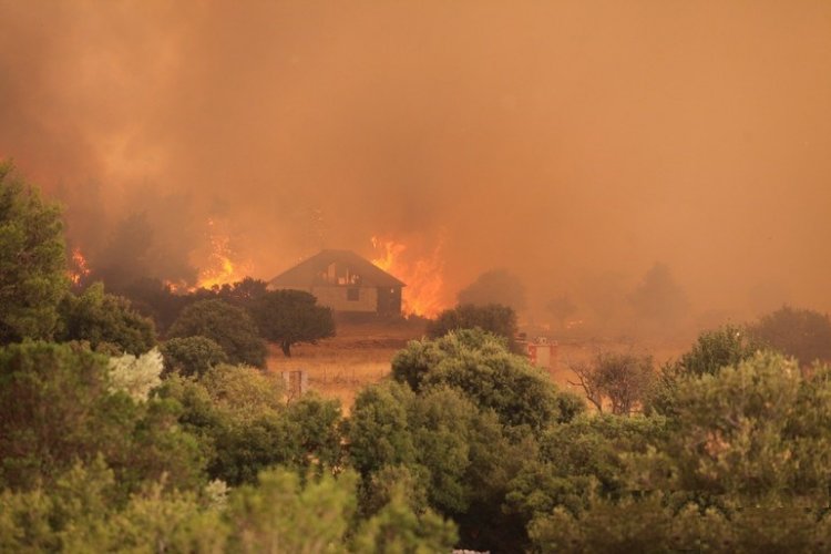 Wildfires: Φωτιά στα Βίλια - Καίγονται σπίτια εκτός οικισμού!! Οι φλόγες περικύκλωσαν το χωριό [live]