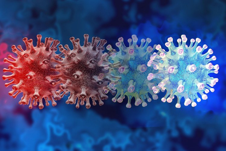 Coronavirus Disease:  2.984 νέα περιστατικά μόλυνσης, 0 στην Μύκονο  –  391 νοσηλεύονται διασωληνωμένοι, 31 νέοι θάνατοι