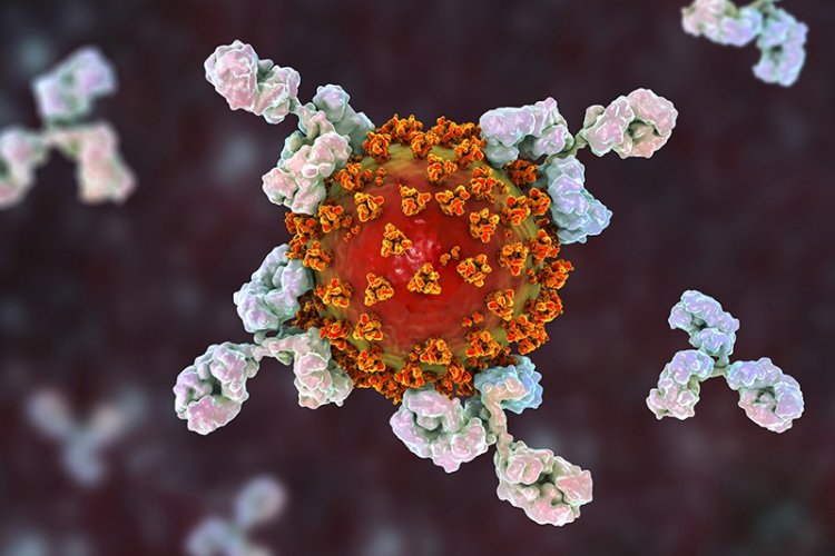 Post-vaccination SARS-CoV-2 infection: Σε μακρά Covid-19 μπορεί να οδηγήσουν και οι λοιμώξεις σε εμβολιασμένους
