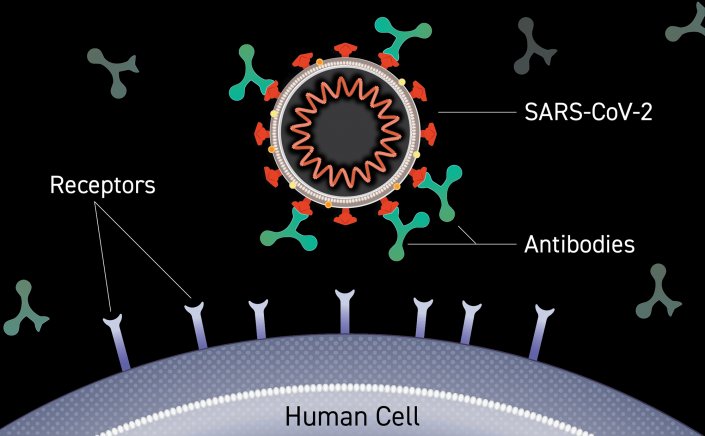 Monoclonal Antibodies: Ξεκινά η χορήγηση των μονοκλωνικών αντισωμάτων σε 10 νοσοκομεία
