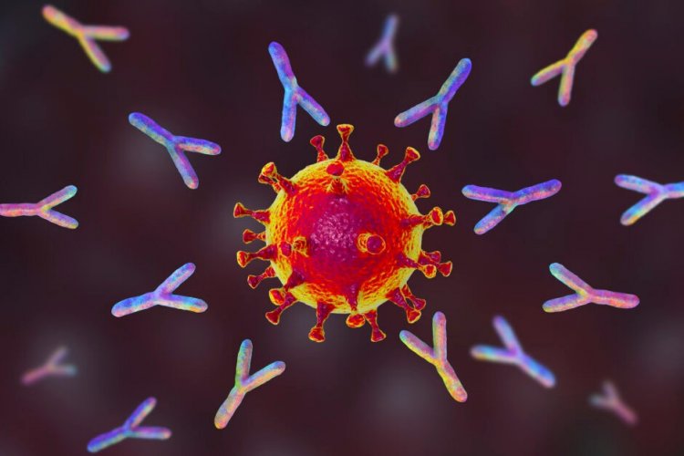 Coronavirus Disease: 4.036 νέα περιστατικά μόλυνσης, τα 3 στην Μύκονο  –  624 νοσηλεύονται διασωληνωμένοι, 79 νέοι θάνατοι