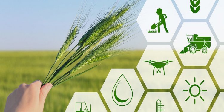 AgriBusiness: Επεκτείνεται το δικαίωμα άσκησης επαγγέλματος γεωπόνου στους πτυχιούχους τμημάτων Γεωπονικής όλης της χώρας