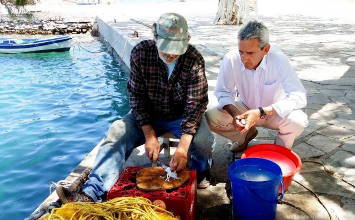 VAT rates - Γιώργος Χατζημάρκος: Για τα νησιά μας, η επιστροφή των μειωμένων συντελεστών ΦΠΑ είναι αποκατάσταση μιας ιστορικής αδικίας