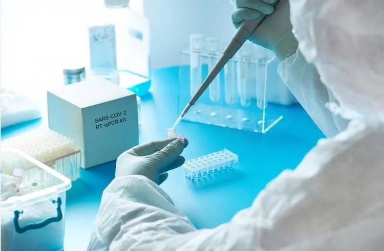 Omicron - New PCR test: Ένα νέο μοριακό τεστ PCR ειδικά για την Όμικρον ανέπτυξαν ερευνητές του JRC της ΕΕ