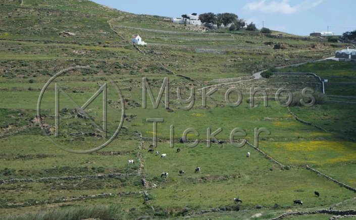 Public Property: Δασωμένοι Αγροί & Εκχερσωμένες Εκτάσεις - Οδηγός 17 ερωταπαντήσεων