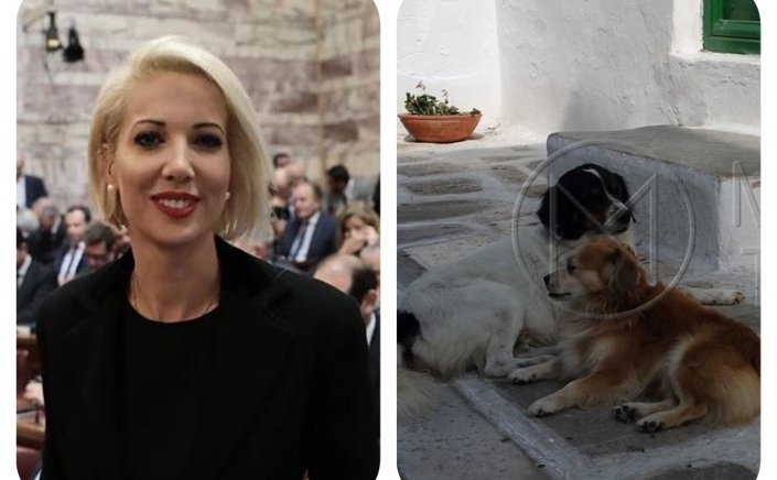 World Stray Animals Day: Η Κατερίνα Μονογυιού χαιρετίζει την Παγκόσμια Ημέρα Αδέσποτων Ζώων