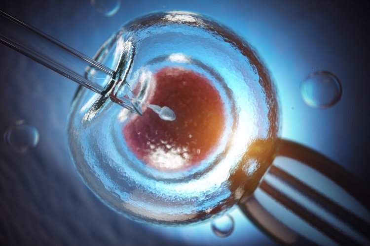 In vitro fertilization: Αλλάζουν όλα σε εξωσωματικές και κρυοσυντήρηση ωαρίων με νομοσχέδιο του Υπουργείου Υγείας