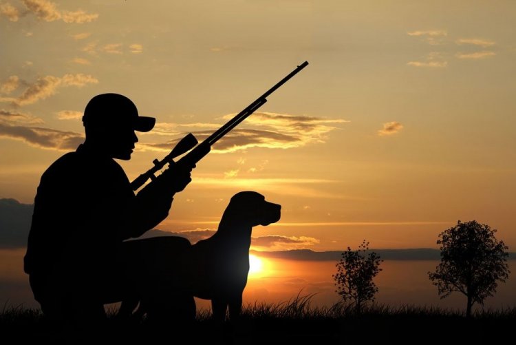 Shotgun license: Ανανέωση Αδειών κατοχής Κυνηγετικών Όπλων