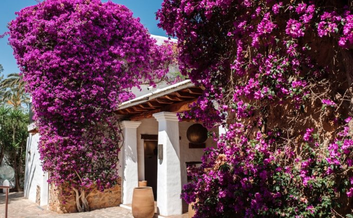 Tourism Policy: Υποχρεωτικός “Τιμοκατάλογος & Καρτέλα Ενημέρωσης Πελάτη” στα Τουριστικά Καταλύματα