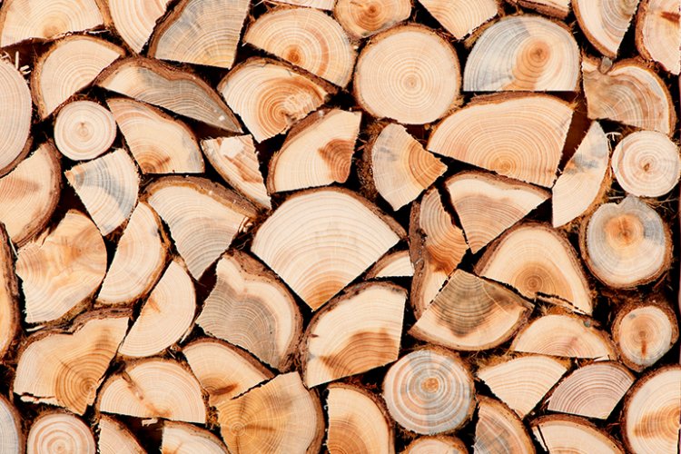 Firewood Buying Tips: Τι να προσέξουν οι καταναλωτές στην αγορά ξύλου - Ποια καυσόξυλα είναι πιο αποδοτικά