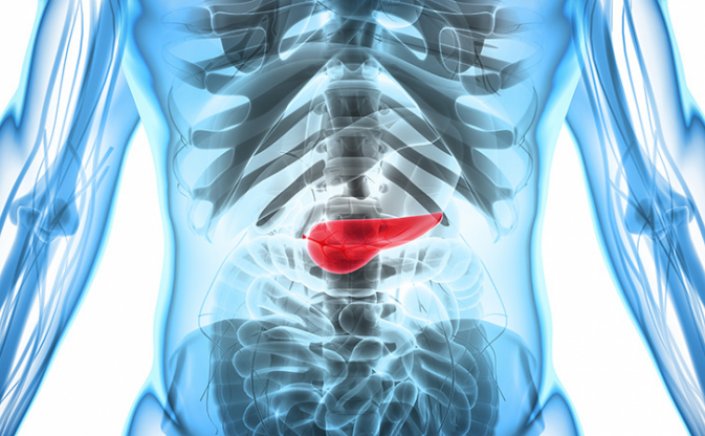 Pancreatic Cancer: Θεραπεία του καρκίνου του παγκρέατος με ραδιενεργό εμφύτευμα σε ποντίκια