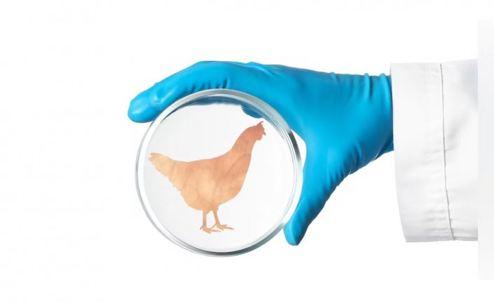 Lab-Grown Chicken Meat: O FDA  ενέκρινε και δεύτερο κοτόπουλο εργαστηρίου για ανθρώπινη κατανάλωση