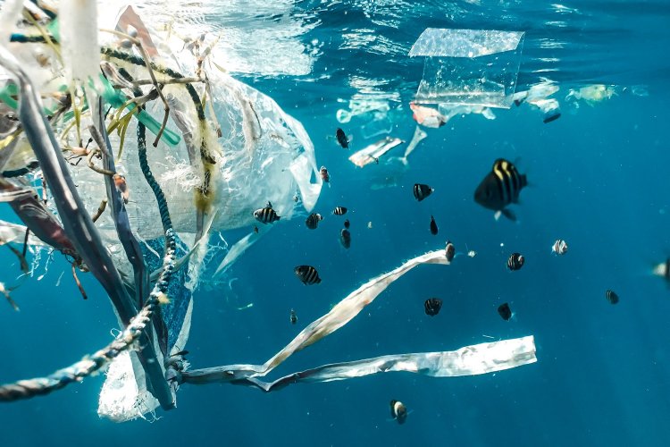 World Environment Day 2023:  Νικήστε την πλαστική ρύπανση #BeatPlasticPollution - Ο πλανήτης μας ασφυκτιά!!