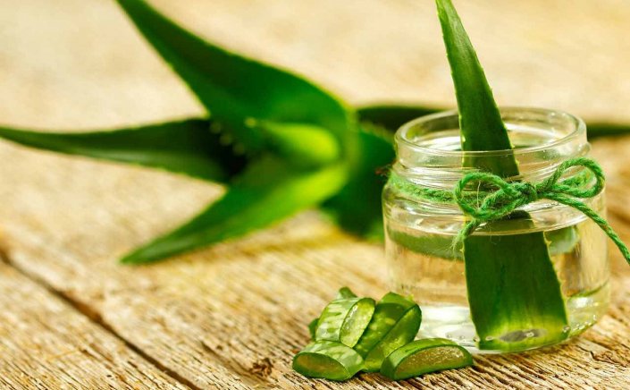Aloe vera: Είναι επικίνδυνη η Αλόη βέρα; Ποια μορφή της μπορεί να προκαλέσει πρόβλημα!!