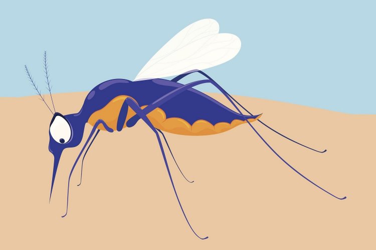 Mosquitoes Attracted: Κι όμως!! Τα κουνούπια προτιμούν συγκεκριμένη ομάδα αίματος!!