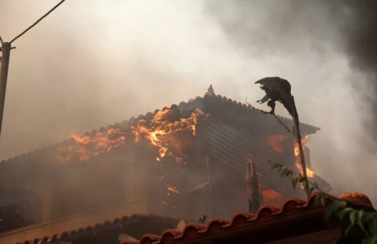 Wildfire in Kouvaras: Μαίνεται η φωτιά στο Νέο Κουβαρά!! Παραδόθηκαν στις φλόγες τα πρώτα σπίτια - 20 τα ενεργά μέτωπα!!