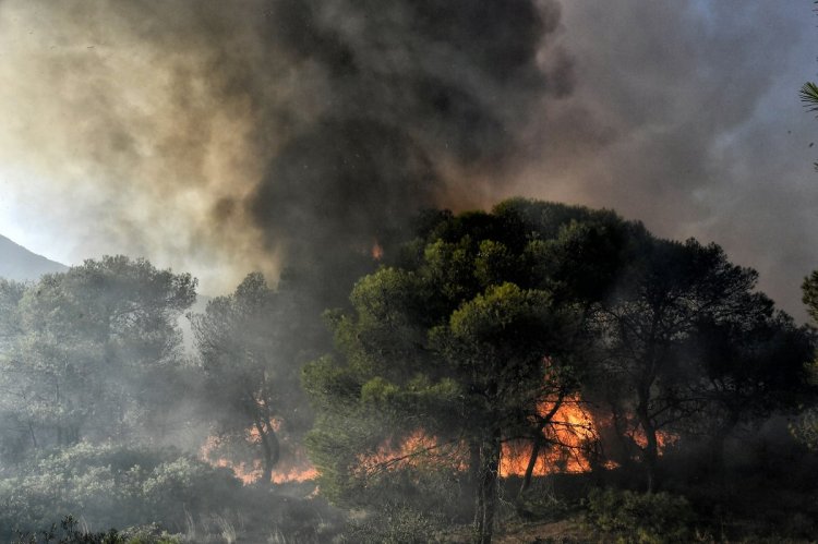 Wildfire in Dervenochoria: Φωτιά στα Δερβενοχώρια!! Πόρτα - πόρτα η εκκένωση στο χωριό Λεύκα - Μάχη να μην φτάσουν οι φλόγες στην Πάρνηθα!!
