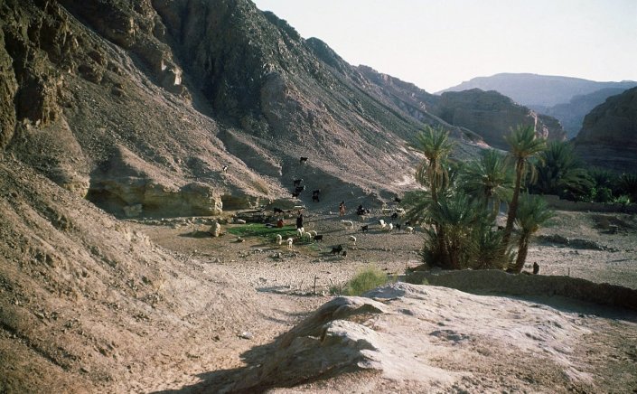 Gaza's Turbulent History: Το σχέδιο του 1950 για την «Μεγάλη Γάζα» στο Σινά - Οι μυστικές συναντήσεις και ο ρόλος των ΗΠΑ