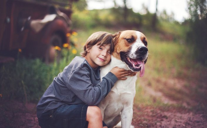 National School Animal Welfare Day:  4 Απριλίου η Πανελλήνια Σχολική Ημέρα Φιλοζωίας,  αφιερωμένη στην υλοποίηση δράσεων φιλοζωίας [Εγκύκλιος]