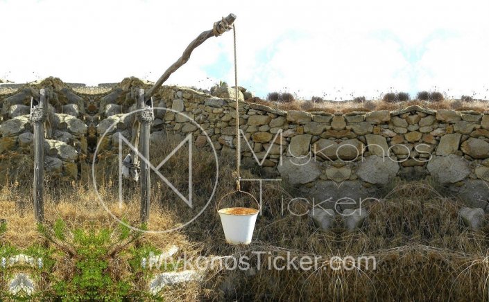 Cleaning Plots: Παράταση ημερομηνίας υποβολής υπεύθυνης δήλωσης υπόχρεων καθαρισμού οικοπέδων έως και την 31η Μαΐου