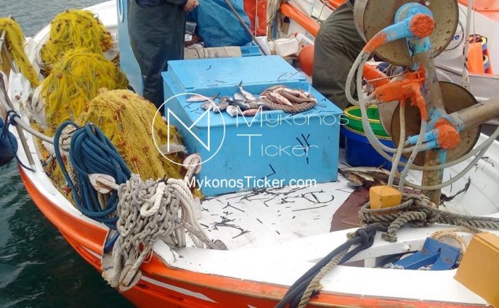 Sustainable fishing in the EU: state of play and orientations for 2025