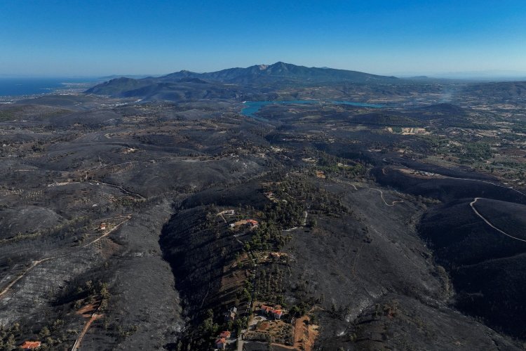 Fire in Northeast Attica:  Πολιτική αντιπαράθεση με αιτία!!