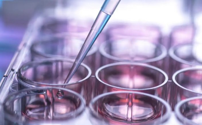 Stem cells: Επιστήμονες δημιούργησαν έναν νέο τύπο βλαστοκυττάρων που μπορεί να επιδιορθώσει τα κατεστραμμένα όργανα [Η Μελέτη]
