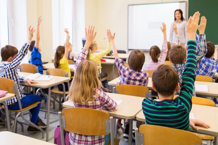 Education Policy: Νέο «μάθημα» έκπληξη!! Eισάγονται προγράμματα φιλοζωίας στα σχολεία όλων των βαθμίδων!!