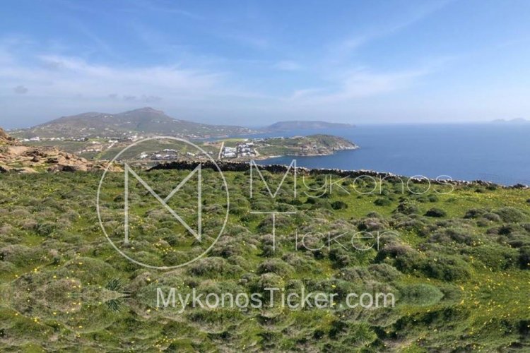 Encroachment Forest Areas: Τι ισχύει για τις καταπατημένες δασικές εκτάσεις που δεν επιτρέπεται η εξαγορά τους;