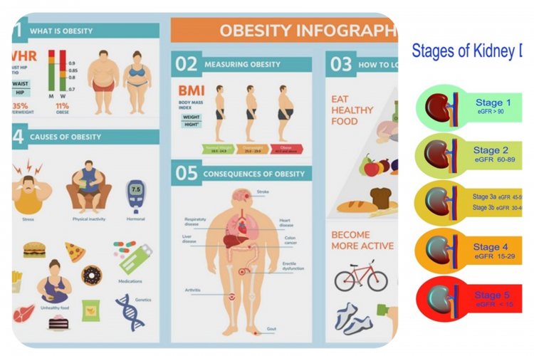 Public Health - Free Screening: Πώς θα λάβεις δωρεάν θεραπεία για Παχυσαρκία & Νεφρά