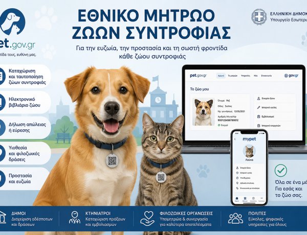 National Pet Registry: Εθνικό Μητρώο Ζώων Συντροφιάς! Ο Πλήρης Οδηγός Καταγραφής & Δηλώσεων - Απώλεια, εύρεση ή μεταβίβαση ζώου! Τι πρέπει να κάνετε μέσω του gov.gr [ΦΕΚ]