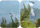 Aerial Firefighting Crash: Δύο πυροσβεστικά ελικόπτερα συγκρούστηκαν και κατέπεσαν στην Ψάθα - Σώοι δύο πιλότοι, έρευνες για το άλλο πλήρωμα - Συγκλονιστικό Video από τη στιγμή της σύγκρουσης